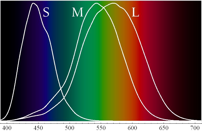 cone response functions